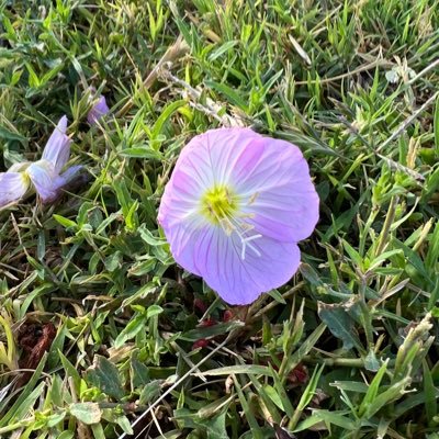 Icallitart_'s profile picture. 