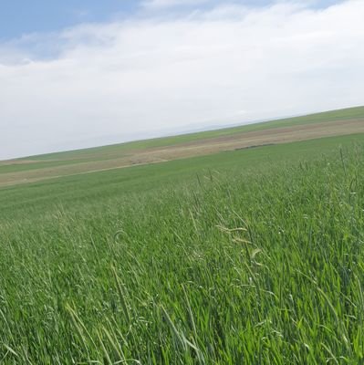 malikreis94's profile picture. 