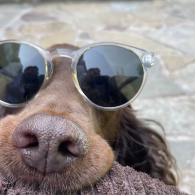 clara_dolce_'s profile picture. 