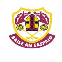 Bishopstown GAA Club(@GaaBishopstown) 's Twitter Profile Photo