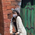 ã¯ãªð±ïŒ Follow Backäžïœ¡Â°(á¡â¢Ì¥áŽ¥â¢Ì¥á¡)° (@madalynb11199) Twitter profile photo ã¯ãªð±ïŒ Follow Backäžïœ¡Â°(á¡â¢Ì¥áŽ¥â¢Ì¥á¡)° (@madalynb11199) Twitter profile photo