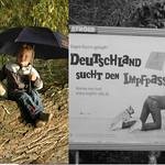 Natuki🐧＠フォロバ96％🍺 (@kirashah414940) 's Twitter Profile