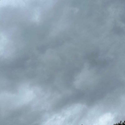 xxcollectie's profile picture. 