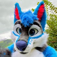 Actikk (@actikk) 's Twitter Profile