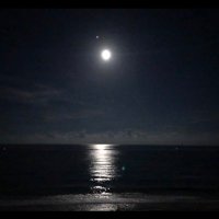 fersata (@fersata) 's Twitter Profile