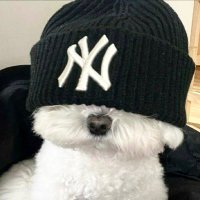 크앙 (@kkk_ang_) 's Twitter Profile
