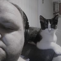 Ash (@robot_pancreas) 's Twitter Profile Photo