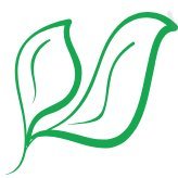 NZRA_LANDSCAPE's profile picture. "NZRA Landscape Works": Transforming Dubai's outdoor spaces with innovative design and green expertise. Your vision, our mission.🌳🌷🏡