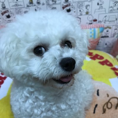 ggrosakamood's profile picture. GGラジオブースのスタッフが、制作の日常など色々呟いていきます。 どうぞよろしくお願いします。