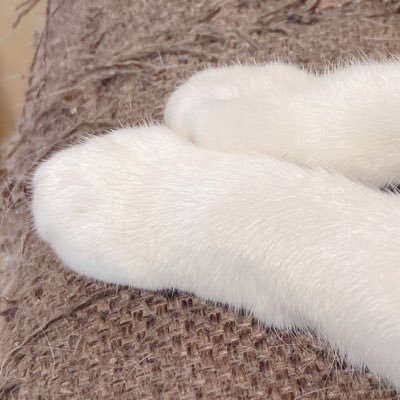 peromi_kimamani's profile picture. KCG3回生 ゲーム学科 ゲームデザイナー志望 ゲーム、ゲーム実況、推し活が好き