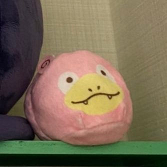 _hktO's profile picture. ⚠️25↑(高卒済)┃公式B済┃夢女のごちゃ混ぜ見る専垢┃ ※普段は鍵※ ┃❤️→シ"ｬんフ°系全般・マカ"シ"ん作品┃男女CP・百合も好き │ 垢バレ防止のため自分で撮った無関係な写真をアイコンにしてます🙇‍♂️