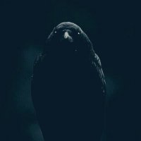 πππ DarkStarr πππ (@watersouldeep) 's Twitter Profile