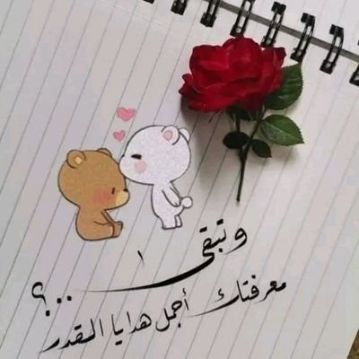 اللهم انك عفوا كريم تحب العفو فاعفي عنا وتولانا فانت ارحم الراحمين