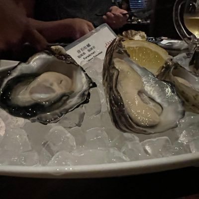 Kakisakamushi's profile picture. 20↑映画好きバイク乗りyzfr25