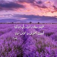 د. يُسرى الرفاعي(@lavender_26_6) 's Twitter Profile Photo