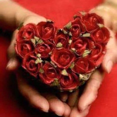 youssef_7134's profile picture. مصرى