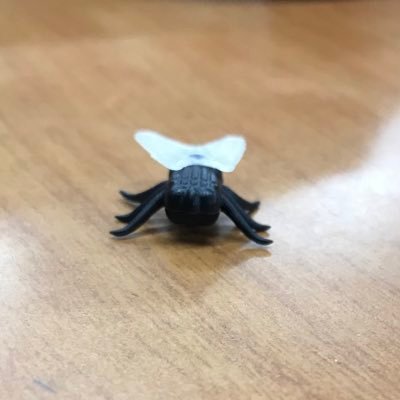 アスワンウエウエバエさんのプロフィール画像