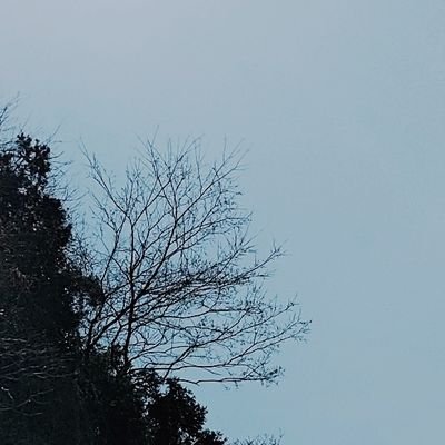 花束さんのプロフィール画像