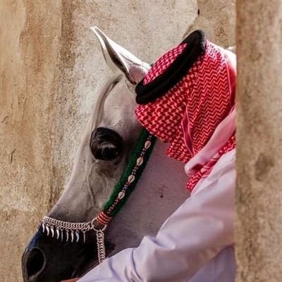 rahomqqq90's profile picture. اللهـم لاتجعـل الدنـيا اكـبر همـنا