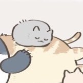 satoDai78338003's profile picture. 