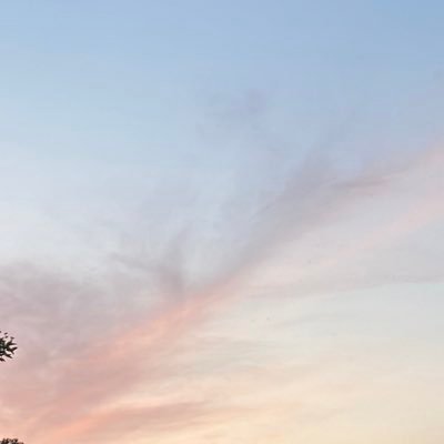 gimdungdang's profile picture. 