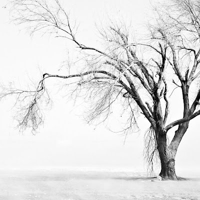 Waroloo's profile picture. 