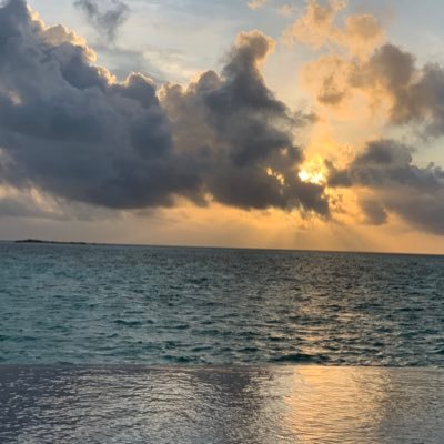 AishaM131's profile picture. 