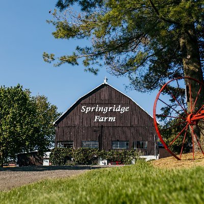 Springridge is closed for the season
We look forward to welcoming you back when we open on April 25 for our 2024 season. 
Farm | Food | Family | Fun