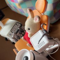 しらたま (@bbkiyhopylzu23k) 's Twitter Profile Photo