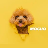 もぐおとぽこた (@mog_mog_moguo) 's Twitter Profile