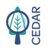 CEDAR (@CEDAR_Cardiff) Twitter profile photo