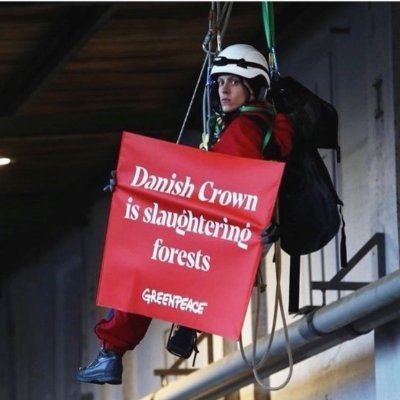 Senior Digital Campaigner @ Greenpeace, a climbing enthusiast with a deep passion for the forest.