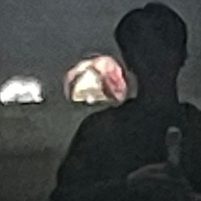 tami_fore's profile picture. 포레스텔라 그리고 🌲⭐️. 탐라에 없어도 부르면 나와요 (헤더:0_limit_0님)