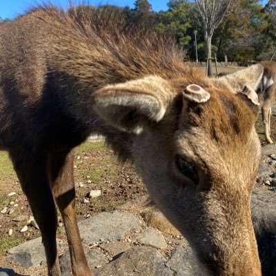 この世で一番無意味 v21 博多→大阪。常に禁煙０日目。吸ったbo