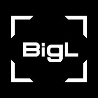 BigL(@BigL_NFT) 's Twitter Profileg