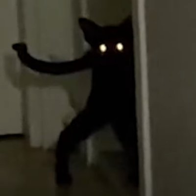 SyskeyCS's profile picture. 19 yo | playing CS in german leagues