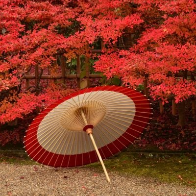 日本最古の京都和傘屋 辻倉 【公式】 (@tsujikura1690) / X 日本最古の京都和傘屋 辻倉 【公式】 (@tsujikura1690) / X
