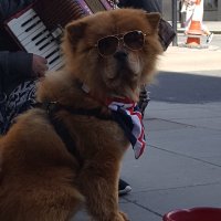 Khatti toffee (@2espressoshots) 's Twitter Profile