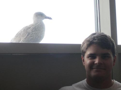 tweetybird_man's profile picture. 