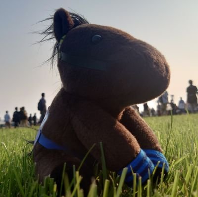 Rhododendron_Az's profile picture. エンジョイ系観測者ヰ組。アニメ・ゲーム・漫画・音楽・競馬が趣味。