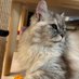 FF (@ff4162817693997) Twitter profile photo FF (@ff4162817693997) Twitter profile photo