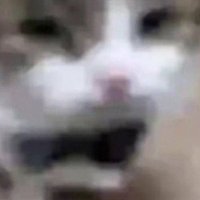 saucier (@saucwier) 's Twitter Profile
