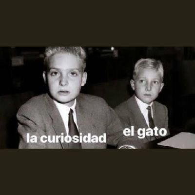 lavinquepoya's profile picture. 