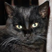 plee20 ❤️ Memecoin (@autiodugay1) 's Twitter Profile