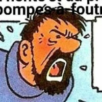 Bon Réac, anti-GRD (@bon_reac) 's Twitter Profile