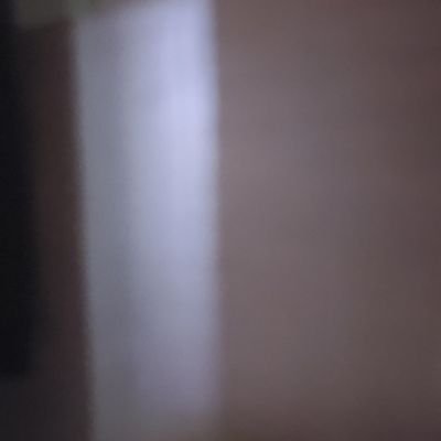 TDPpride's profile picture. 