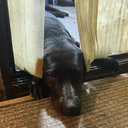 Jesse Y - @jesseYangJ - Twitter