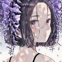 いろは🌟@お互い趣味を共有しよう。°(ᐡ•̥ᴥ•̥ᐡ)°。 (@sockbailey) 's Twitter Profile
