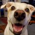 Debbie Gates (@debbieg32915826) Twitter profile photo Debbie Gates (@debbieg32915826) Twitter profile photo