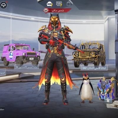 talgy__6's profile picture. 